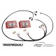Twinspark harness for 2 x MSD-AL2 ignition box  art.no TWINSPMSDAL2